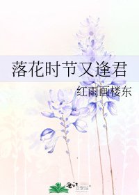 《落花时节又逢君》