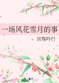 《一场风花雪月的事》