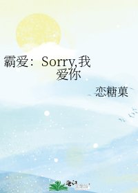 《霸爱:Sorry,我爱你》