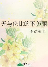 《无与伦比的不美丽》
