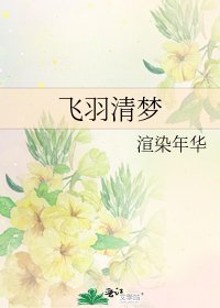 飞羽清梦