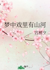 《梦中戏里有山河》