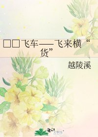 《□□飞车——飞来横“货”》