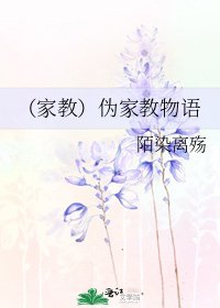 《(家教)伪家教物语》