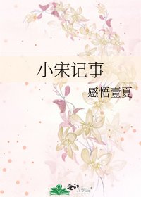 《小宋记事》