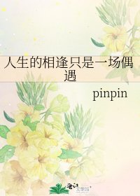 《人生的相逢只是一场偶遇》