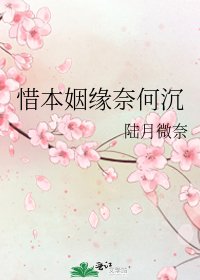 《惜本姻缘奈何沉》