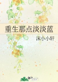 《重生那点淡淡蓝》