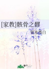 [家教]骸骨之髎