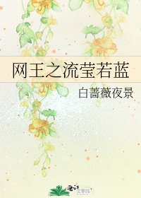 《网王之流莹若蓝》