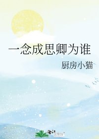 《一念成思卿为谁》