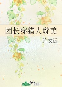 《团长穿猎人耽美》