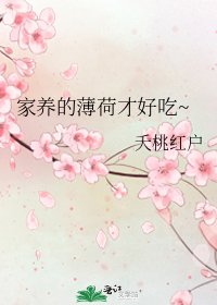 家养的薄荷才好吃~
