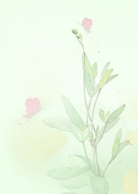 终于，恰好遇到你