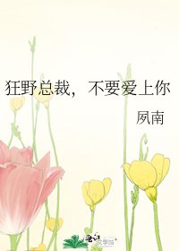 狂野总裁，不要爱上你
