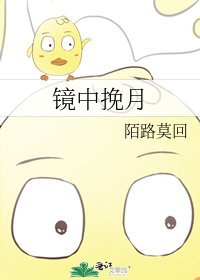 《镜中挽月》