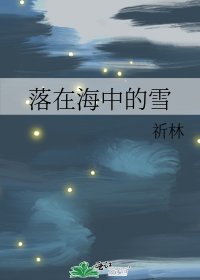落在海中的雪