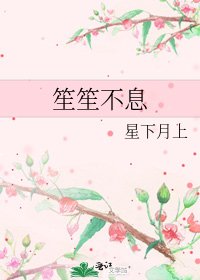 《笙笙不息》