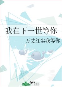 我在下一世等你