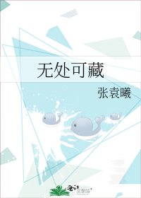 《无处可藏》