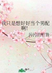《我只是想好好当个男配啊!》