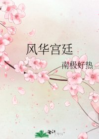 风华宫廷