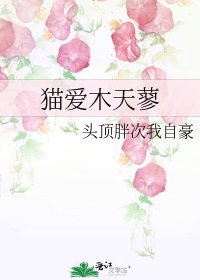 《猫爱木天蓼》
