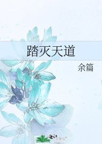 《踏灭天道》