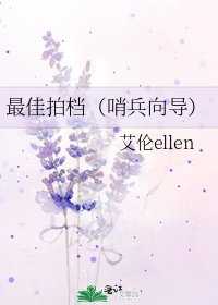 《最佳拍档(哨兵向导)》