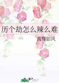 《历个劫怎么辣么难》
