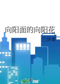 《向阳面的向阳花》