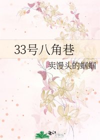 《33号八角巷》