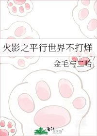 《火影之平行世界不打烊》