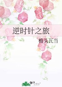 《逆时针之旅》