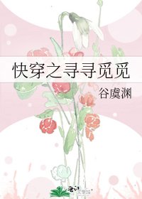 《快穿之寻寻觅觅》
