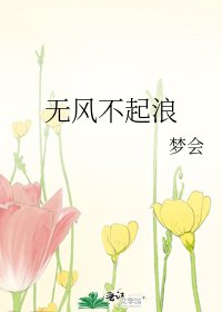 《无风不起浪》