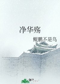 净华殇