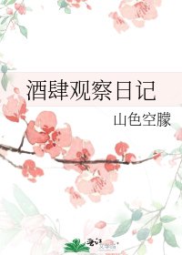 《酒肆观察日记》