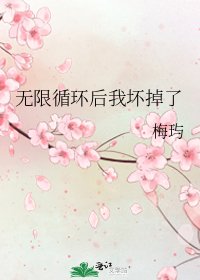 《无限循环后我坏掉了》