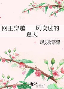 《网王穿越——风吹过的夏天》