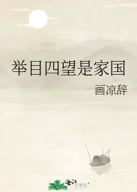 《举目四望是家国》