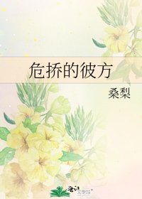 《危挢的彼方》