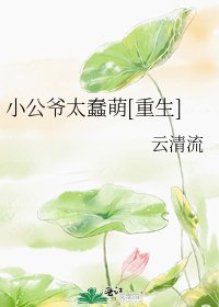 小公爷太蠢萌[重生]