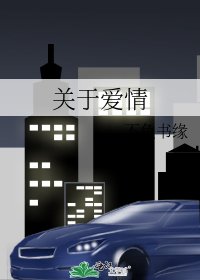 《关于爱情》