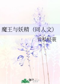 《魔王与妖精(同人文)》