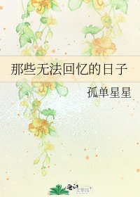 《那些无法回忆的日子》