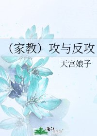 （家教）攻与反攻