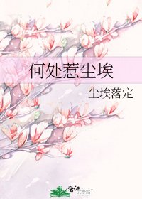《何处惹尘埃》