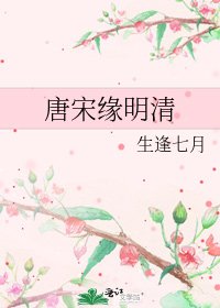 《唐宋缘明清》