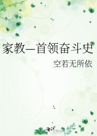 《家教—首领奋斗史》